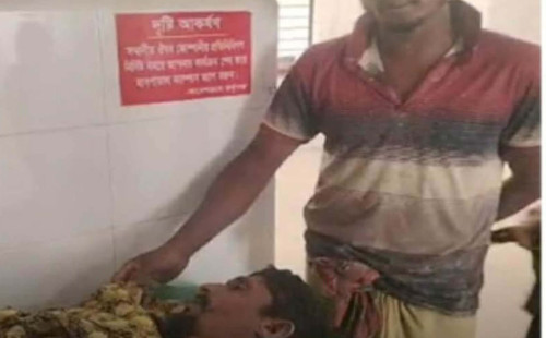 নড়াইলে ইটভাটা শ্রমিকের মর্মান্তিক মৃত্যু